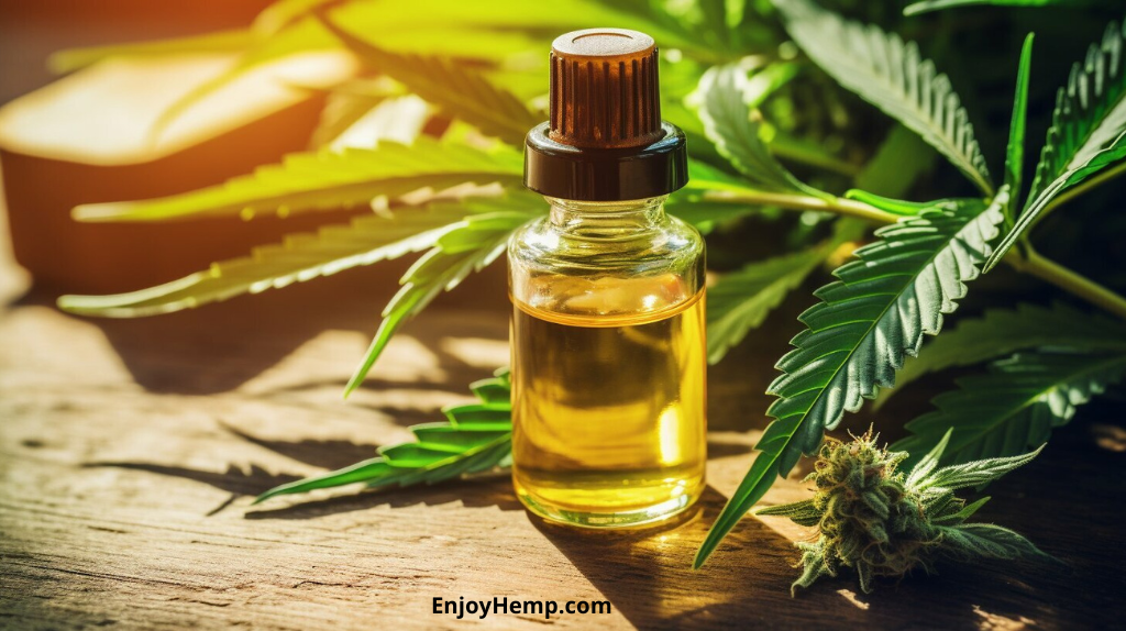 Are Hemp and CBD the Same? Understanding the Differences.