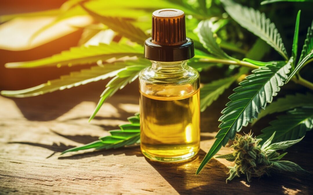 Are Hemp and CBD the Same? Understanding the Differences.