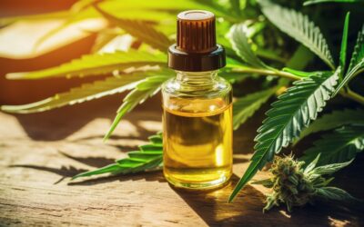 Are Hemp and CBD the Same? Understanding the Differences.