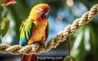 Is Hemp Rope Safe For Birds? Your Essential Guide